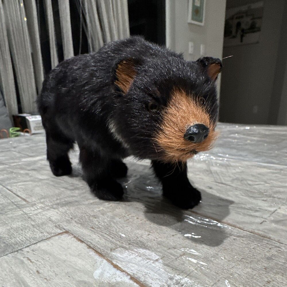 Black Bear Collectable Home Decor
